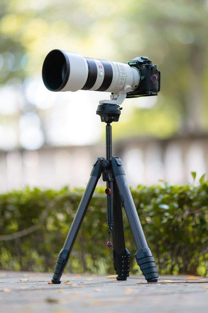 Lichtblick Fotografie - Image 9